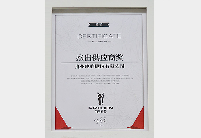 杰出供应商（铂骏）