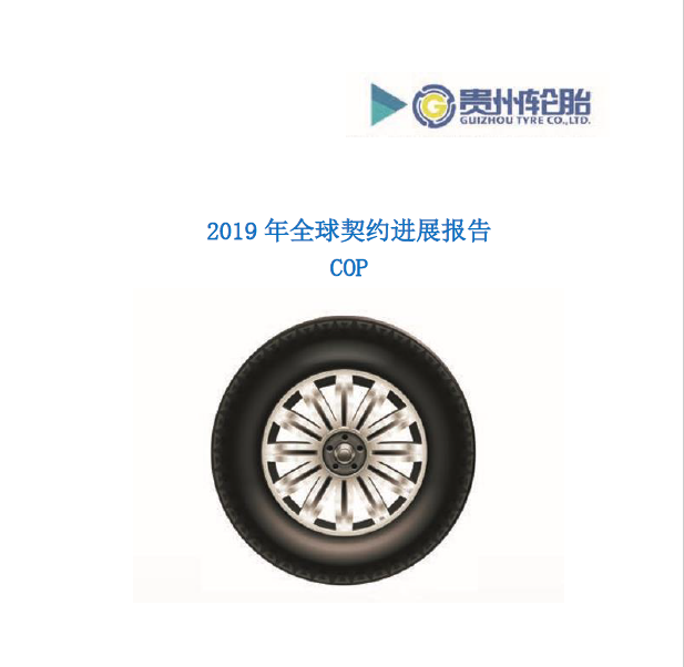 od体育app免费下载2019年全球契约年度进展报告COP