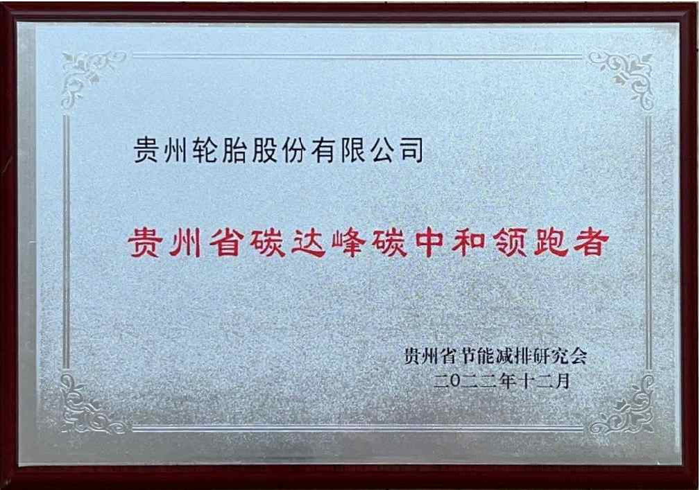 4、贵州省碳达峰碳中和领跑者